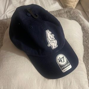 Chicago Cubs Hat - brand new!